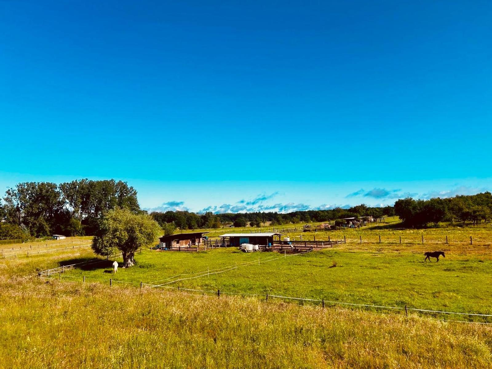 La Clef Des Songes Bed & Breakfast Merzmuhler Dış mekan fotoğraf