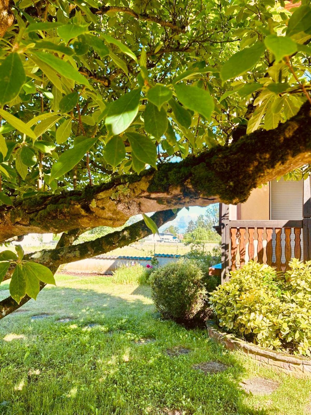 La Clef Des Songes Bed & Breakfast Merzmuhler Dış mekan fotoğraf